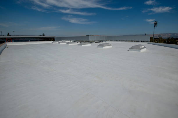 Best Roof Moss and Algae Removal  in Brielle, NJ