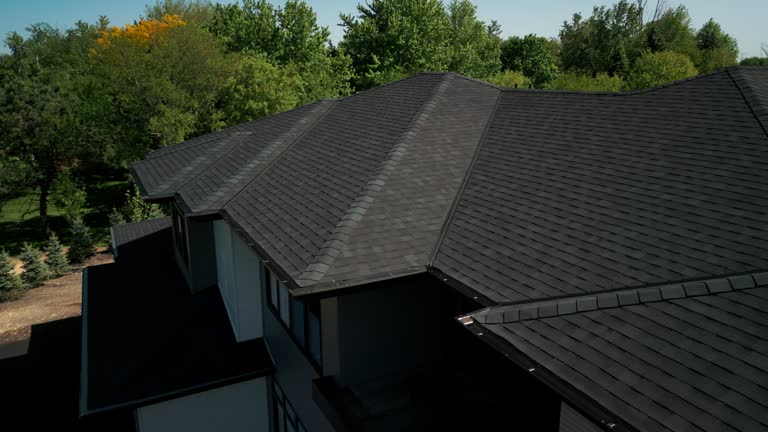 Best Roof Maintenance and Cleaning  in Brielle, NJ