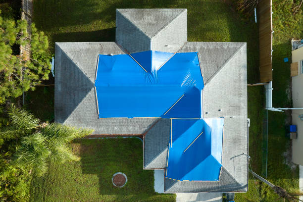 Best Roof Coating and Sealing  in Brielle, NJ